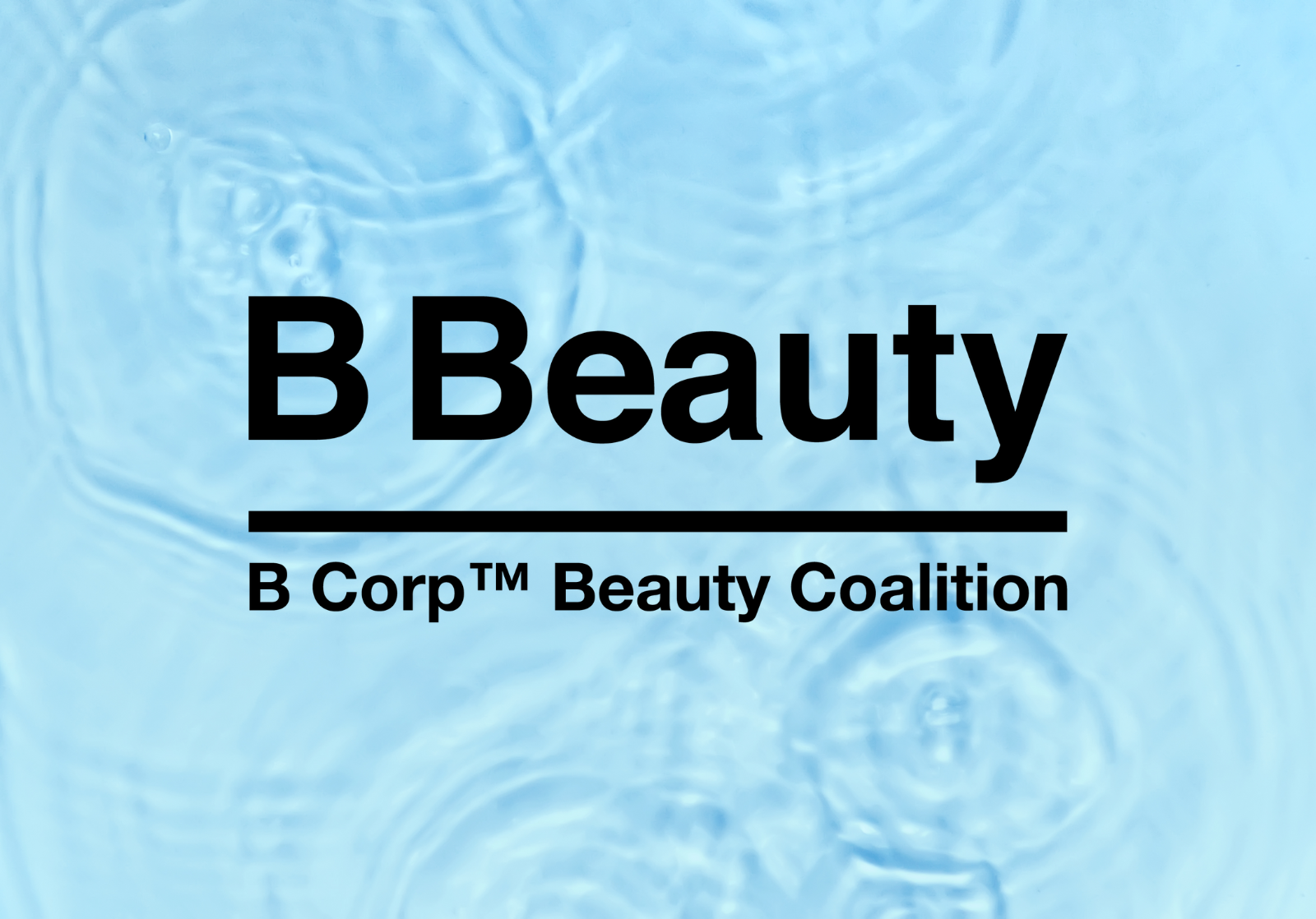 BCB - Online Campaing_ Leading with Purpose